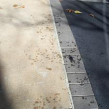 Driveway, Concrete and Paver Oil Stain Cleaning on Willard Way in Dix Hills, NY 0